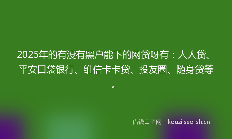 2025年的有没有黑户能下的网贷呀有：人人贷、平安口袋银行、维信卡卡贷、投友圈、随身贷等。
