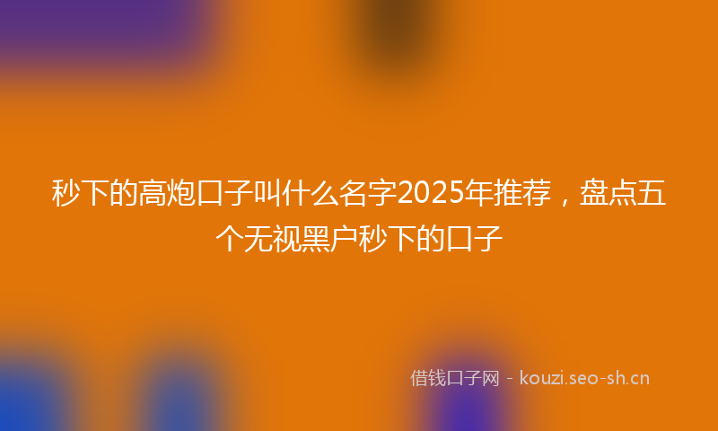 秒下的高炮口子叫什么名字2025年推荐，盘点五个无视黑户秒下的口子