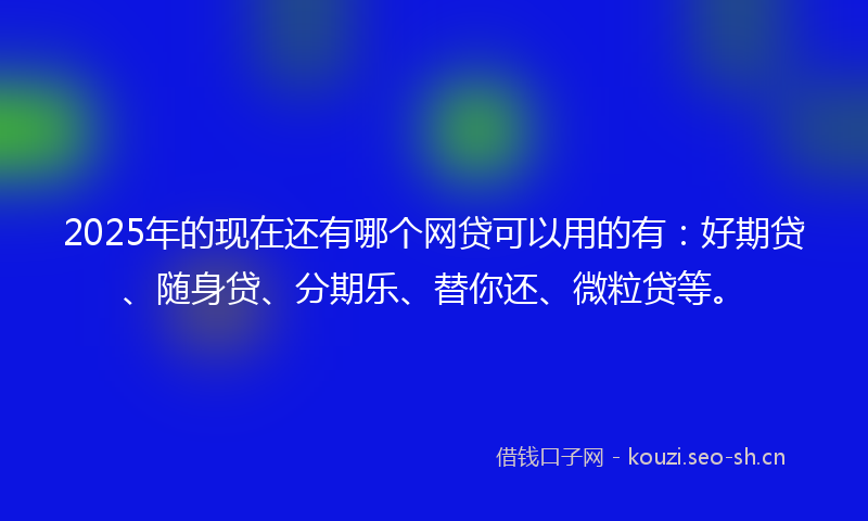 2025年的现在还有哪个网贷可以用的有：好期贷、随身贷、分期乐、替你还、微粒贷等。