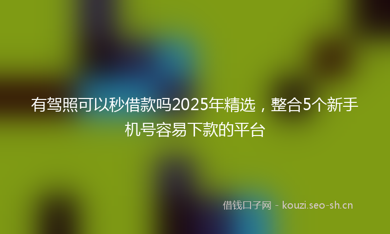 有驾照可以秒借款吗2025年精选，整合5个新手机号容易下款的平台