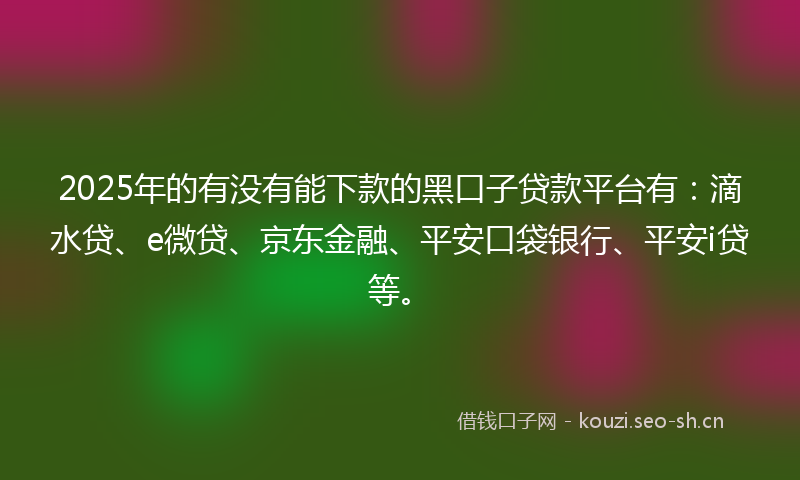 2025年的有没有能下款的黑口子贷款平台有：滴水贷、e微贷、京东金融、平安口袋银行、平安i贷等。