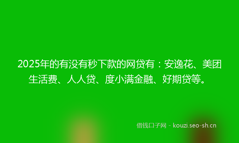 2025年的有没有秒下款的网贷有：安逸花、美团生活费、人人贷、度小满金融、好期贷等。