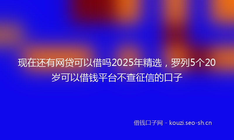 现在还有网贷可以借吗2025年精选，罗列5个20岁可以借钱平台不查征信的口子