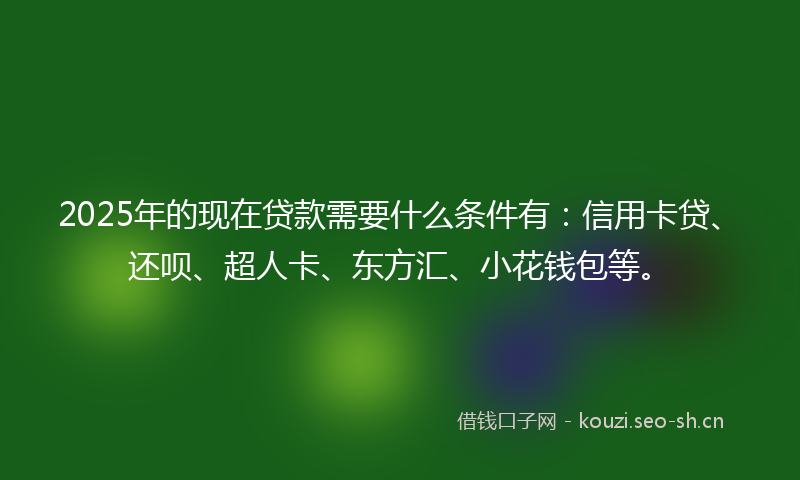 2025年的现在贷款需要什么条件有：信用卡贷、还呗、超人卡、东方汇、小花钱包等。