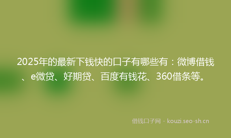 2025年的最新下钱快的口子有哪些有：微博借钱、e微贷、好期贷、百度有钱花、360借条等。