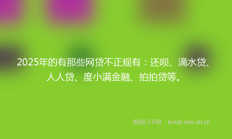 2025年的有那些网贷不正规有：还呗、滴水贷、人人贷、度小满金融、拍拍贷等。