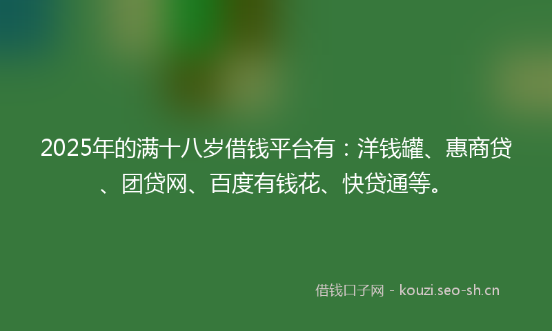 2025年的满十八岁借钱平台有：洋钱罐、惠商贷、团贷网、百度有钱花、快贷通等。