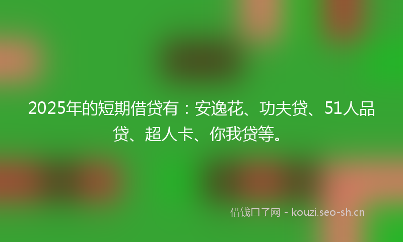 2025年的短期借贷有：安逸花、功夫贷、51人品贷、超人卡、你我贷等。
