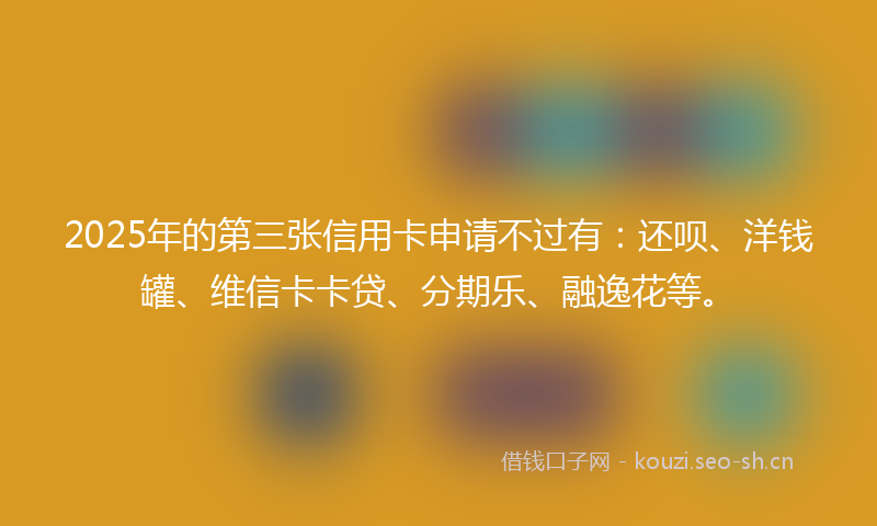 2025年的第三张信用卡申请不过有：还呗、洋钱罐、维信卡卡贷、分期乐、融逸花等。