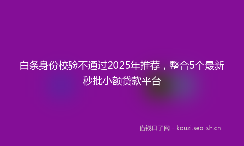 白条身份校验不通过2025年推荐，整合5个最新秒批小额贷款平台