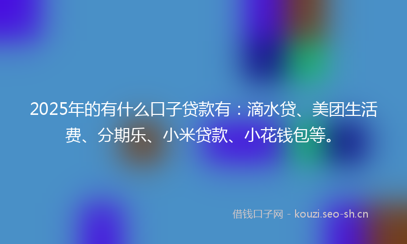 2025年的有什么口子贷款有：滴水贷、美团生活费、分期乐、小米贷款、小花钱包等。
