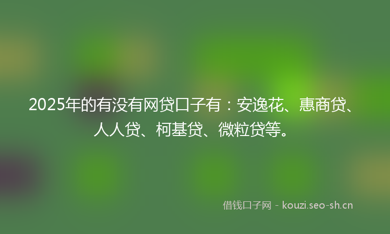 2025年的有没有网贷口子有：安逸花、惠商贷、人人贷、柯基贷、微粒贷等。