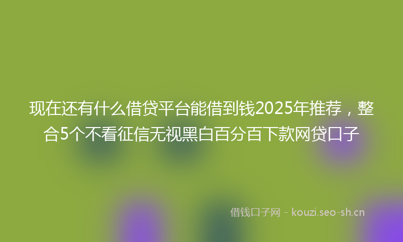 现在还有什么借贷平台能借到钱2025年推荐,整合5个不看征信无视黑白百分百下款网贷口子