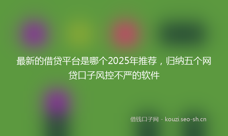 最新的借贷平台是哪个2025年推荐，归纳五个网贷口子风控不严的软件