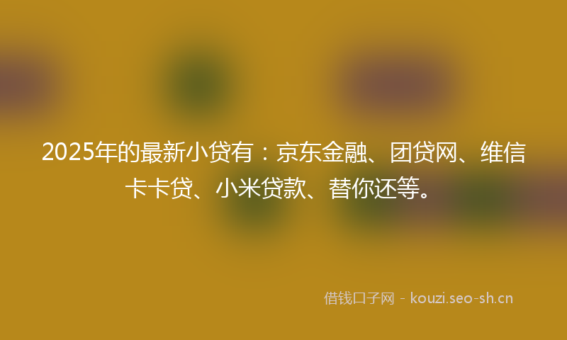 2025年的最新小贷有：京东金融、团贷网、维信卡卡贷、小米贷款、替你还等。