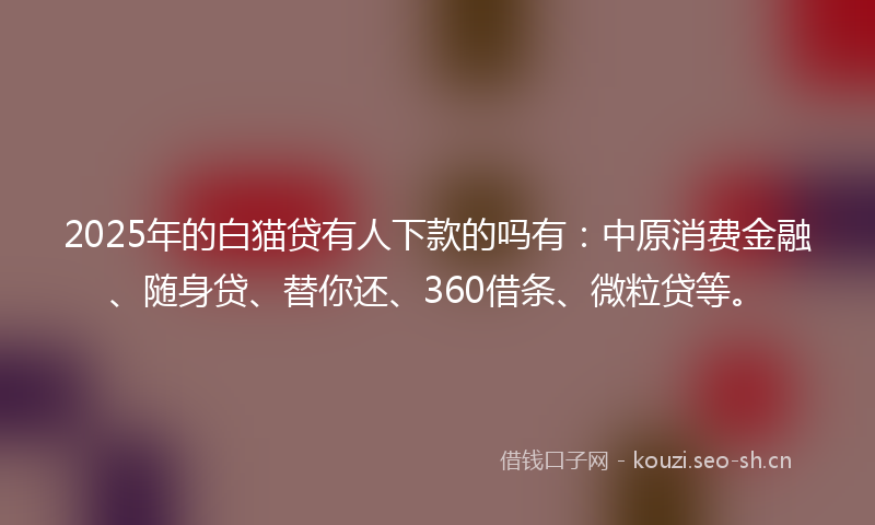 2025年的白猫贷有人下款的吗有：中原消费金融、随身贷、替你还、360借条、微粒贷等。