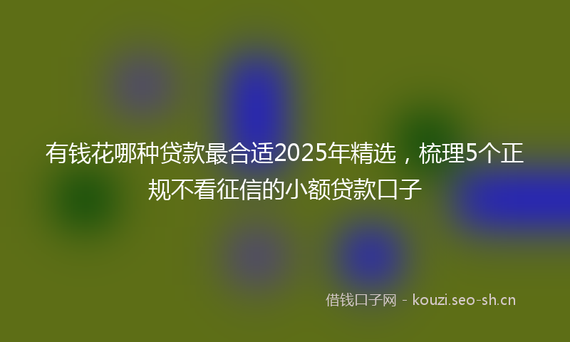 有钱花哪种贷款最合适2025年精选，梳理5个正规不看征信的小额贷款口子
