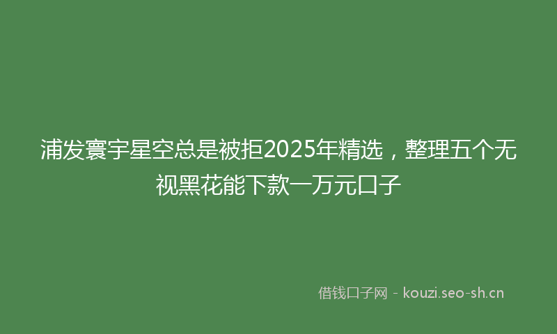 浦发寰宇星空总是被拒2025年精选，整理五个无视黑花能下款一万元口子