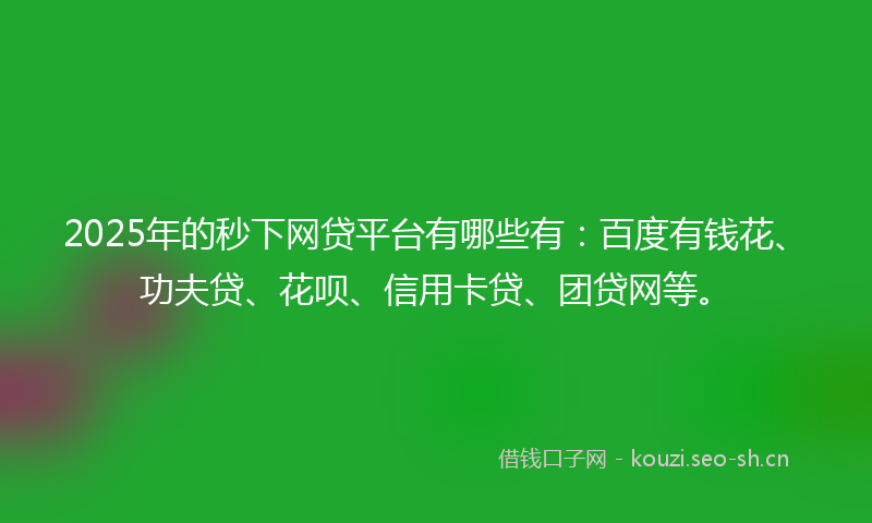 2025年的秒下网贷平台有哪些有：百度有钱花、功夫贷、花呗、信用卡贷、团贷网等。