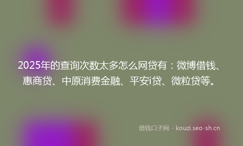 2025年的查询次数太多怎么网贷有：微博借钱、惠商贷、中原消费金融、平安i贷、微粒贷等。