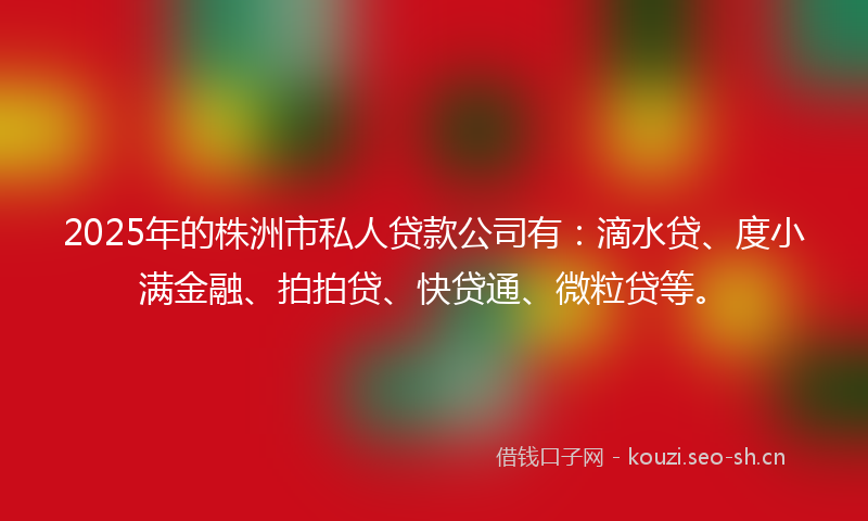 2025年的株洲市私人贷款公司有：滴水贷、度小满金融、拍拍贷、快贷通、微粒贷等。