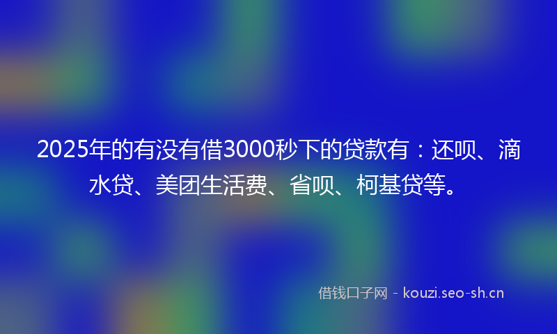 2025年的有没有借3000秒下的贷款有：还呗、滴水贷、美团生活费、省呗、柯基贷等。