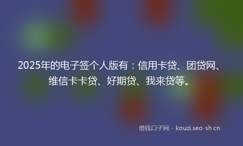 2025年的电子签个人版有：信用卡贷、团贷网、维信卡卡贷、好期贷、我来贷等。