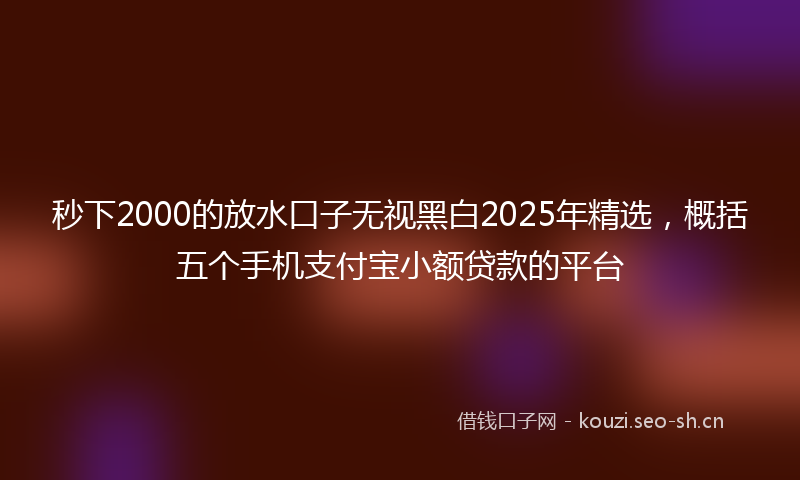 秒下2000的放水口子无视黑白2025年精选，概括五个手机支付宝小额贷款的平台