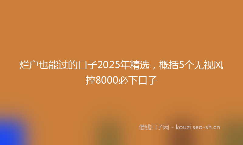 烂户也能过的口子2025年精选，概括5个无视风控8000必下口子