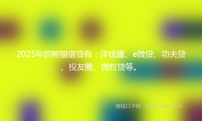2025年的熊猫借贷有：洋钱罐、e微贷、功夫贷、投友圈、微粒贷等。