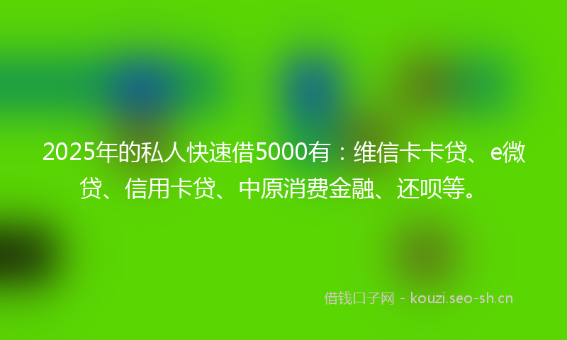 2025年的私人快速借5000有：维信卡卡贷、e微贷、信用卡贷、中原消费金融、还呗等。