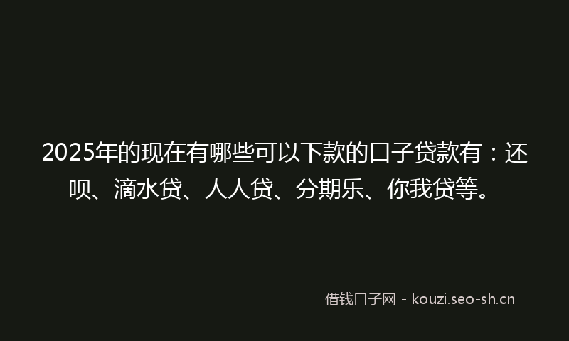 2025年的现在有哪些可以下款的口子贷款有：还呗、滴水贷、人人贷、分期乐、你我贷等。