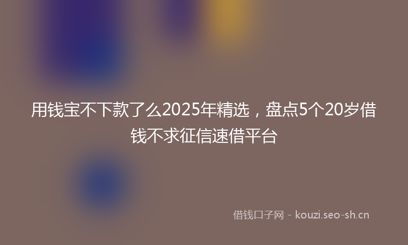 用钱宝不下款了么2025年精选，盘点5个20岁借钱不求征信速借平台