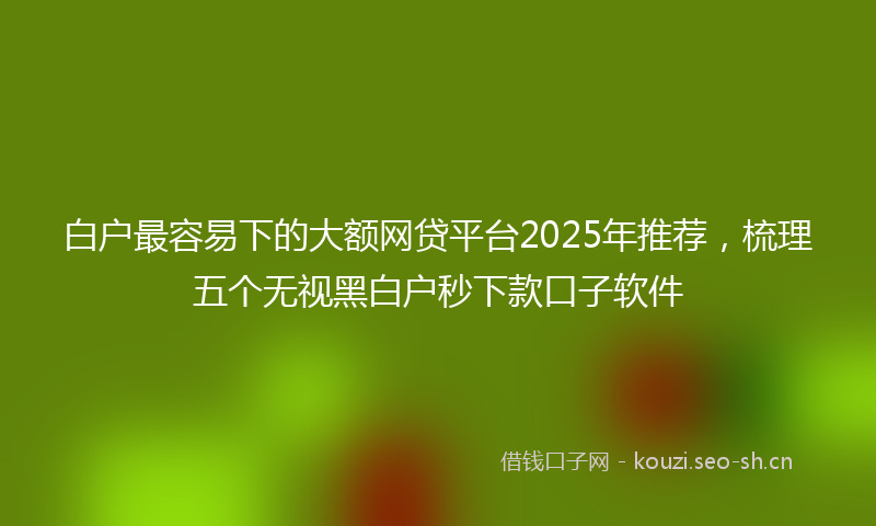 白户最容易下的大额网贷平台2025年推荐，梳理五个无视黑白户秒下款口子软件