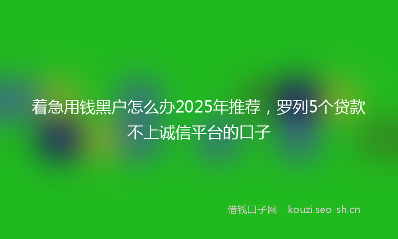 着急用钱黑户怎么办2025年推荐，罗列5个贷款不上诚信平台的口子