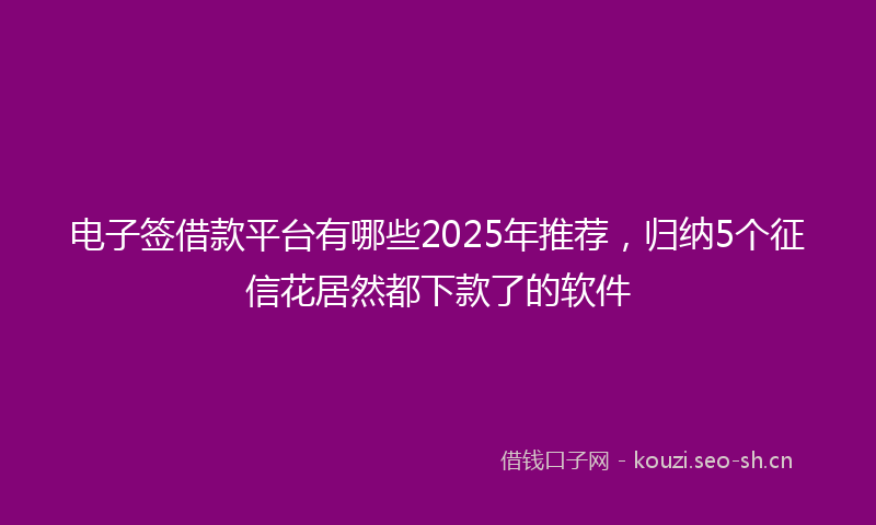 电子签借款平台有哪些2025年推荐,归纳5个征信花居然都下款了的软件