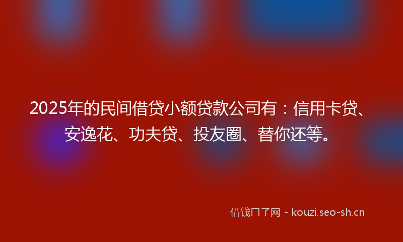 2025年的民间借贷小额贷款公司有：信用卡贷、安逸花、功夫贷、投友圈、替你还等。
