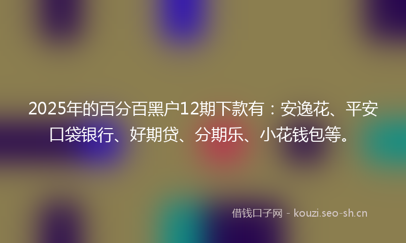 2025年的百分百黑户12期下款有：安逸花、平安口袋银行、好期贷、分期乐、小花钱包等。