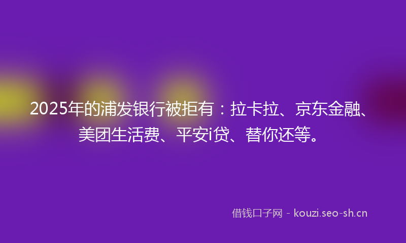 2025年的浦发银行被拒有：拉卡拉、京东金融、美团生活费、平安i贷、替你还等。