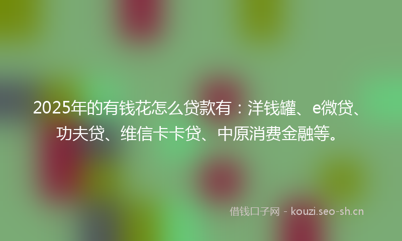 2025年的有钱花怎么贷款有：洋钱罐、e微贷、功夫贷、维信卡卡贷、中原消费金融等。