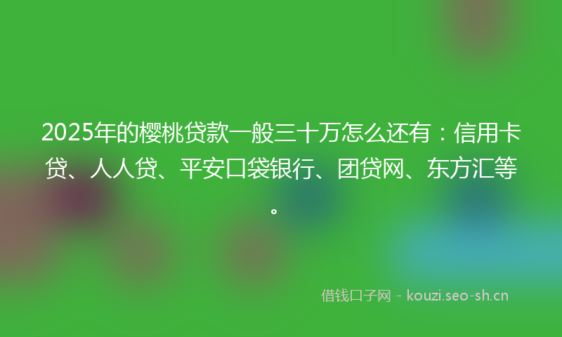 2025年的樱桃贷款一般三十万怎么还有：信用卡贷、人人贷、平安口袋银行、团贷网、东方汇等。