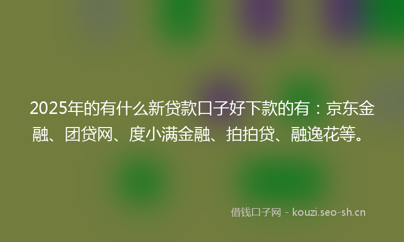 2025年的有什么新贷款口子好下款的有：京东金融、团贷网、度小满金融、拍拍贷、融逸花等。