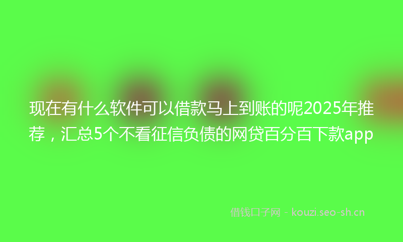 现在有什么软件可以借款马上到账的呢2025年推荐，汇总5个不看征信负债的网贷百分百下款app