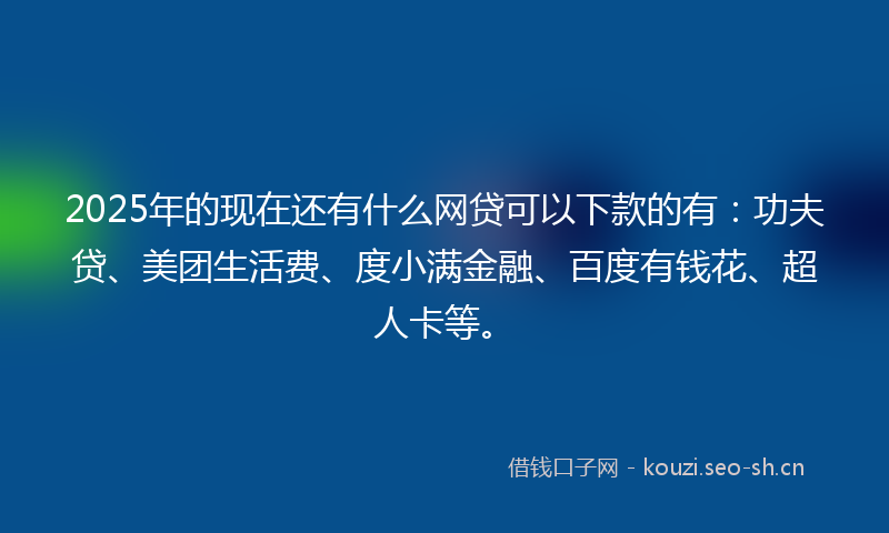 2025年的现在还有什么网贷可以下款的有：功夫贷、美团生活费、度小满金融、百度有钱花、超人卡等。