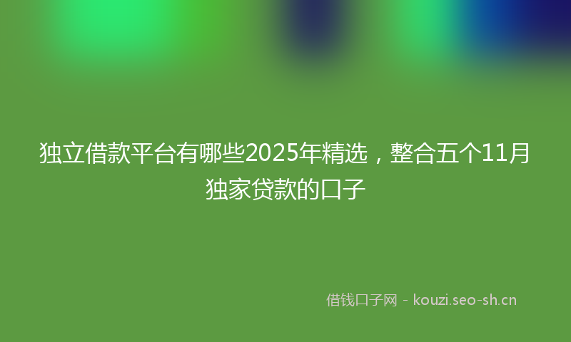 独立借款平台有哪些2025年精选，整合五个11月独家贷款的口子
