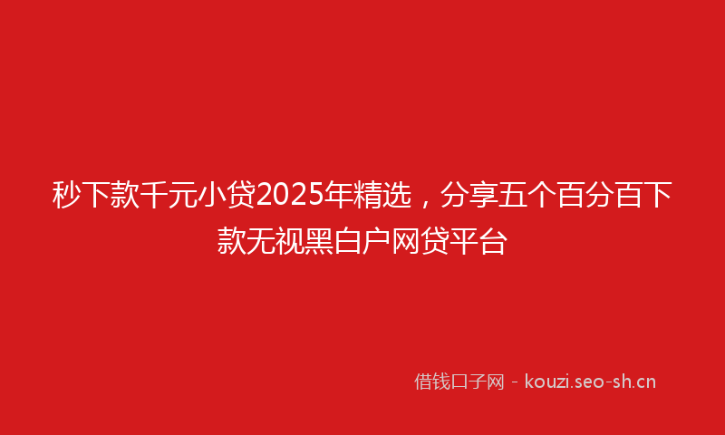 秒下款千元小贷2025年精选，分享五个百分百下款无视黑白户网贷平台