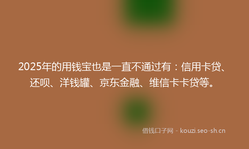 2025年的用钱宝也是一直不通过有：信用卡贷、还呗、洋钱罐、京东金融、维信卡卡贷等。