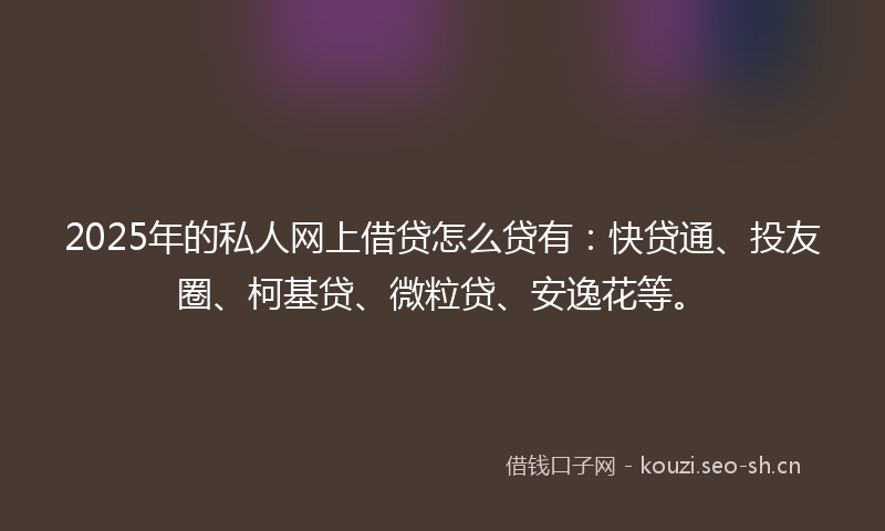 2025年的私人网上借贷怎么贷有：快贷通、投友圈、柯基贷、微粒贷、安逸花等。