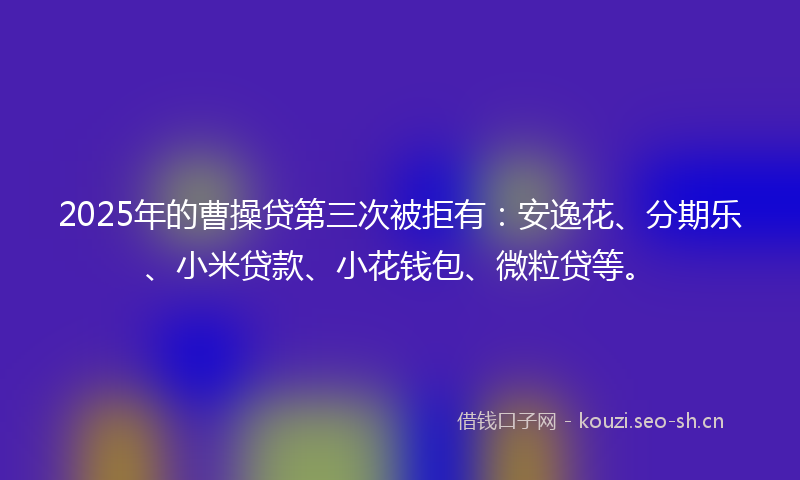 2025年的曹操贷第三次被拒有:安逸花、分期乐、小米贷款、小花钱包、微粒贷等。