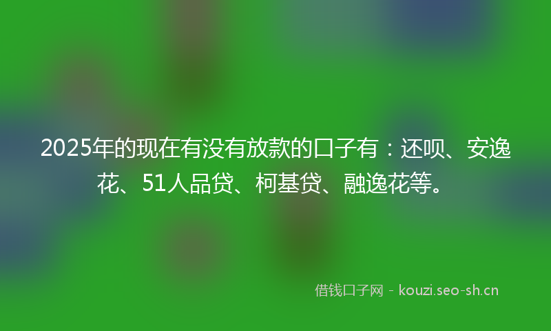 2025年的现在有没有放款的口子有：还呗、安逸花、51人品贷、柯基贷、融逸花等。